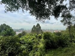 Terra Hill (D5), Apartment #579687041